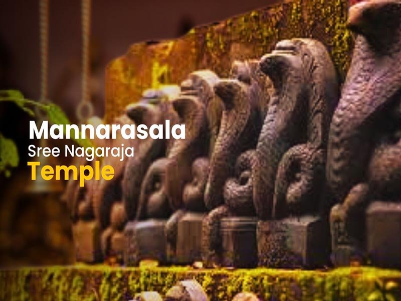 Mannarasala Sree Nagaraja Temple