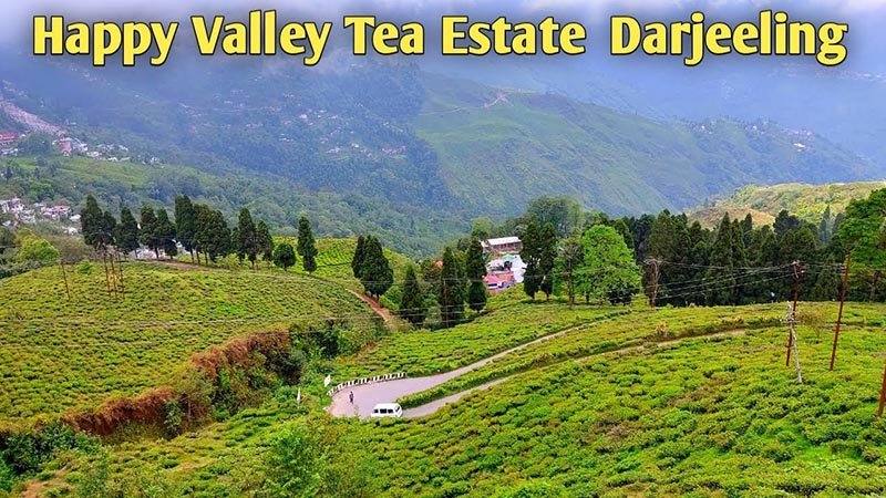 Happy Valley Tea Estate